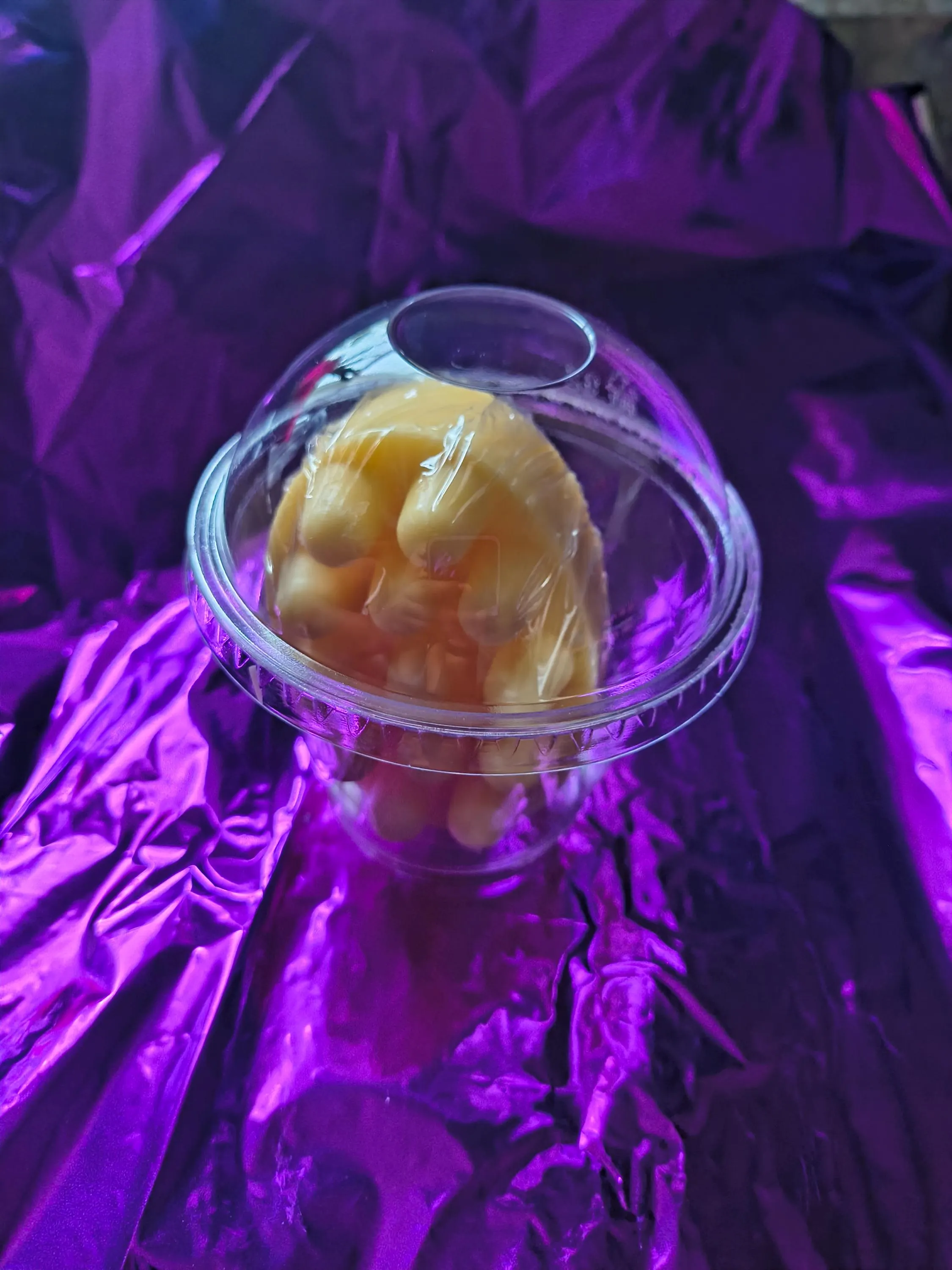 Arnica Lotion Bar view 6